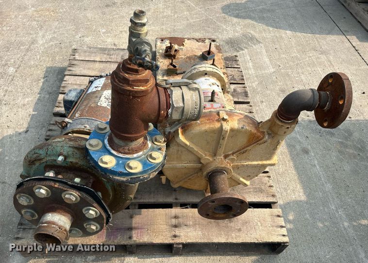 image for item MC9959 (15) pumps