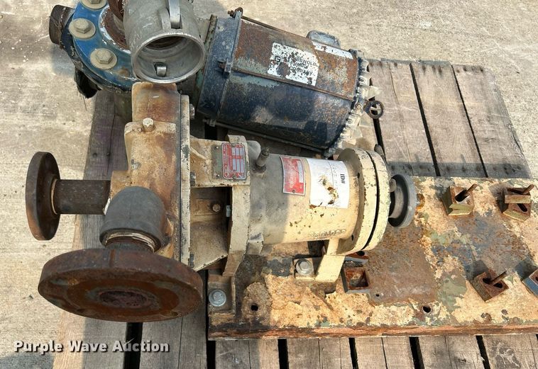 image for item MC9959 (15) pumps