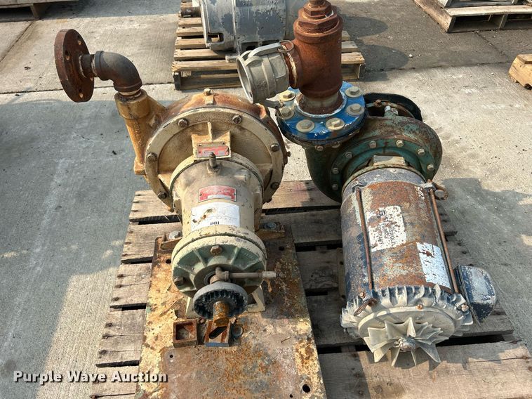 image for item MC9959 (15) pumps