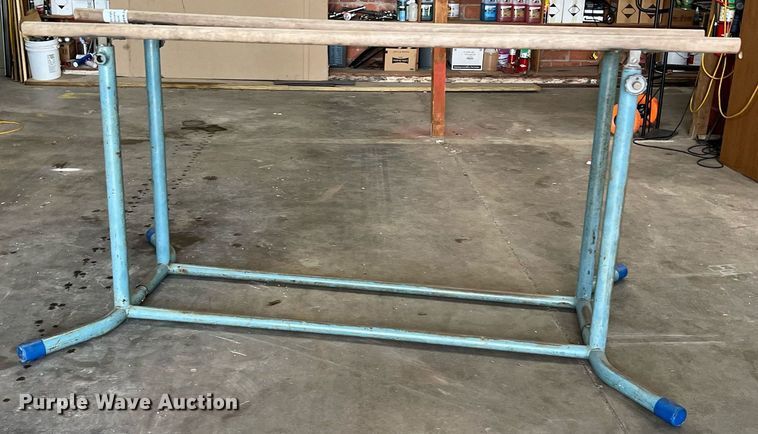 image for item DN3036 Parallel bars