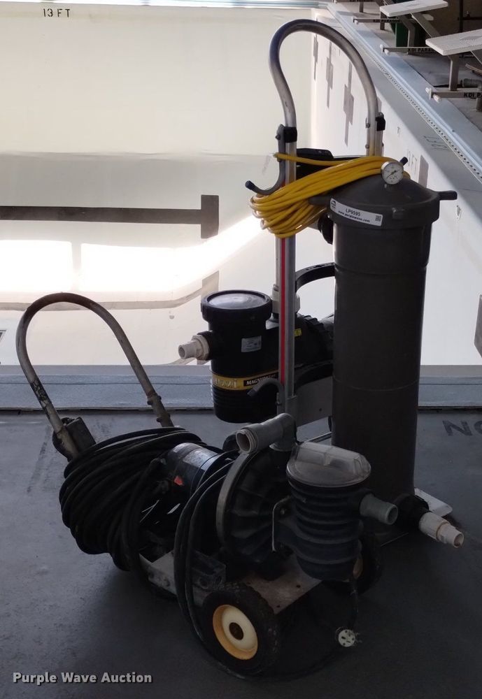 image for item LP9595 (2) pool pumps