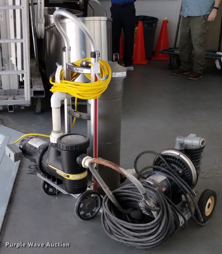 image for item LP9595 (2) pool pumps