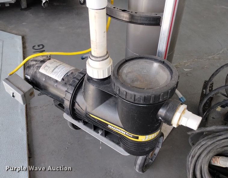 image for item LP9595 (2) pool pumps