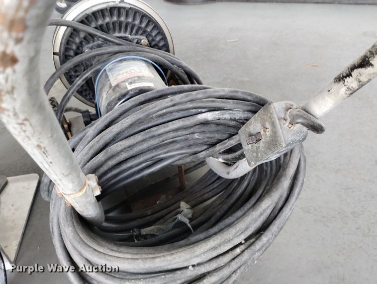 image for item LP9595 (2) pool pumps