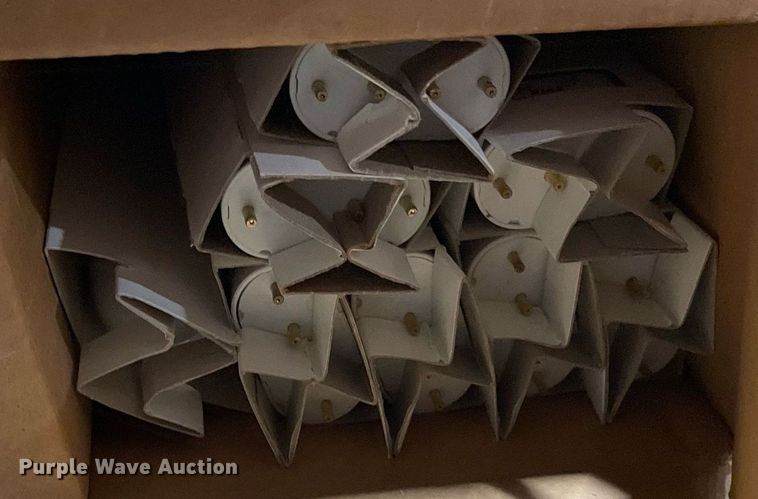 image for item ME9873 (2) pallets of lighting bulbs