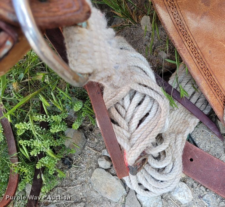 image for item NX9458 (2) saddles