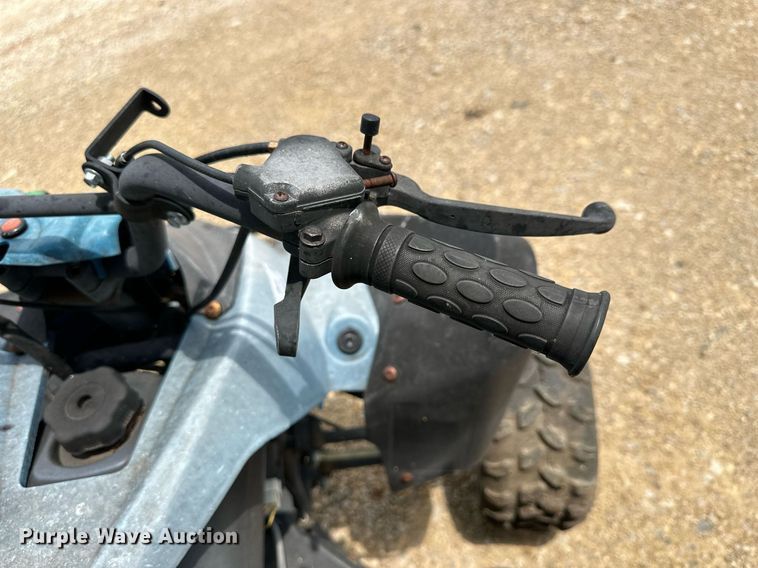 image for item NP9772 2008 Tao Tao  ATV