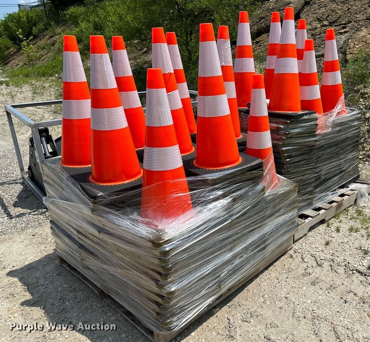 image for item LN9247 (248) cones
