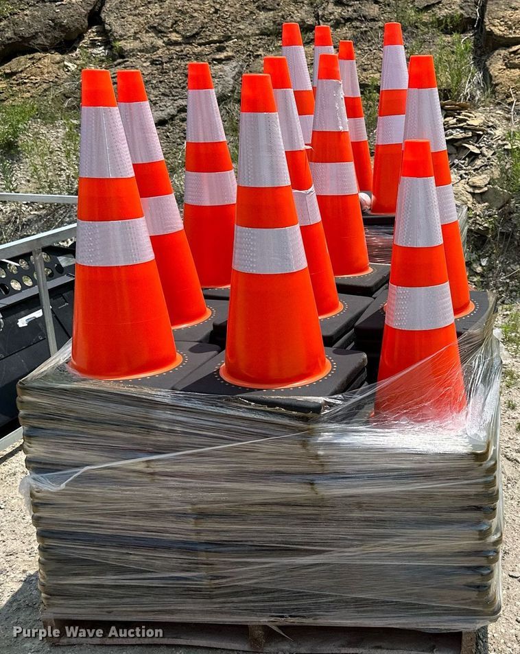 image for item LN9247 (248) cones