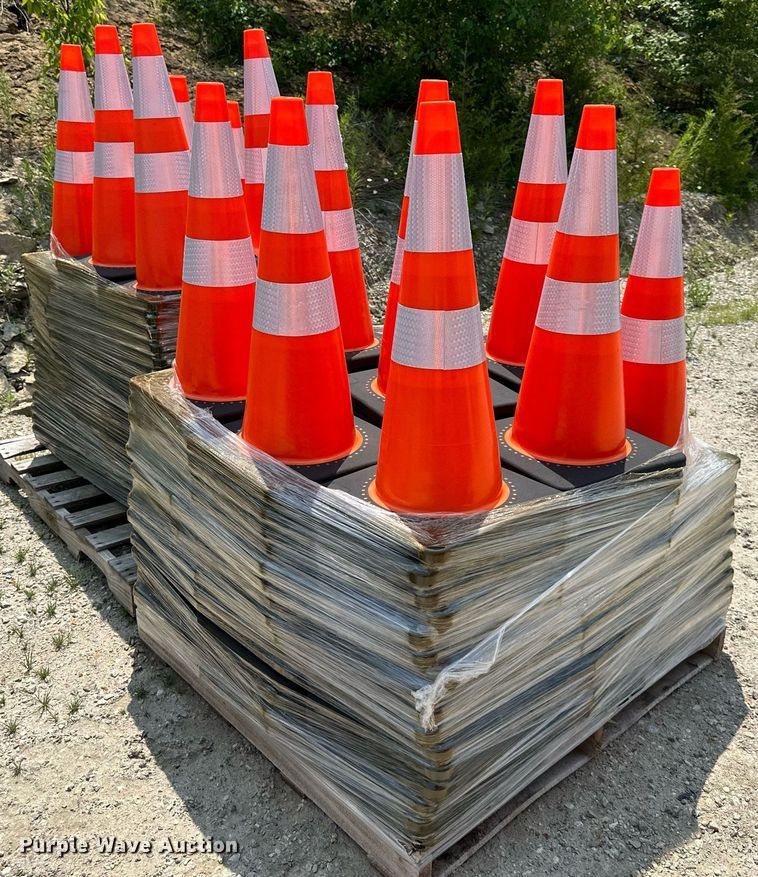image for item LN9247 (248) cones