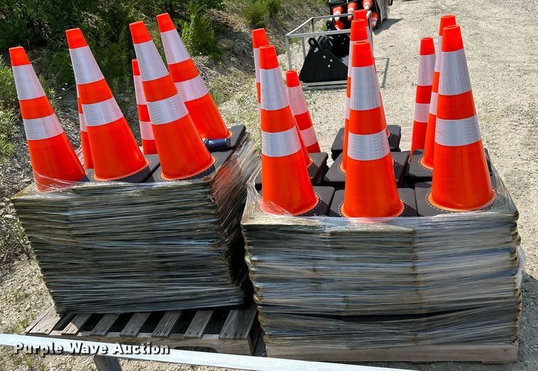 image for item LN9247 (248) cones