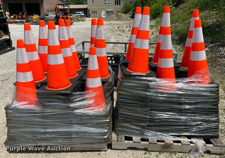 image for item LN9247 (248) cones