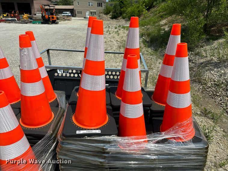 image for item LN9247 (248) cones