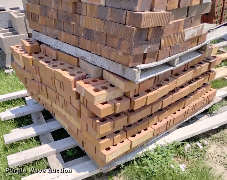 image for item LP9638 (8) pallets of bricks