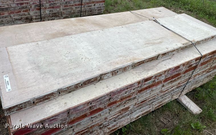 image for item ME9991 (23) Symons 8'L x 24"W concrete wall forms