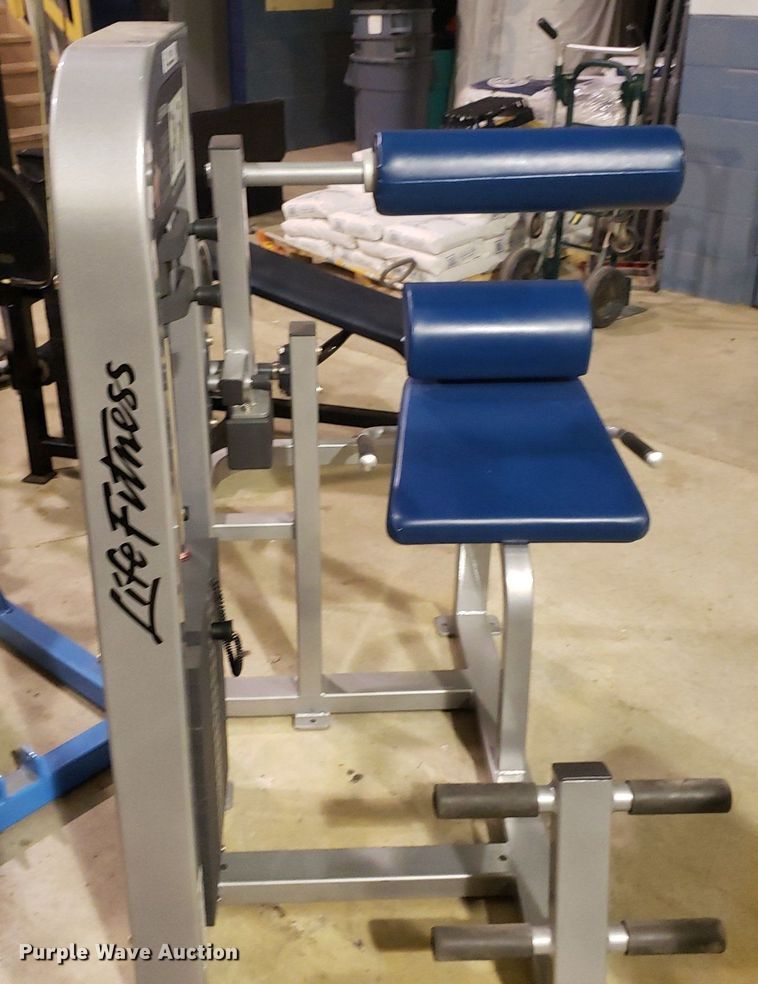 image for item IP9291 Life Fitness  back extension machine