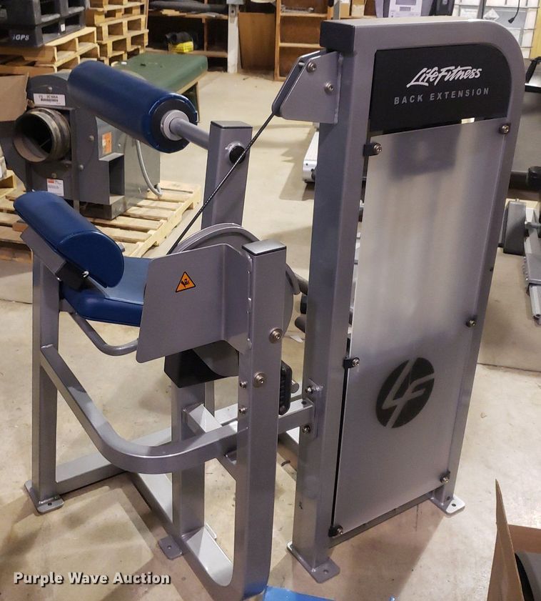 image for item IP9291 Life Fitness  back extension machine