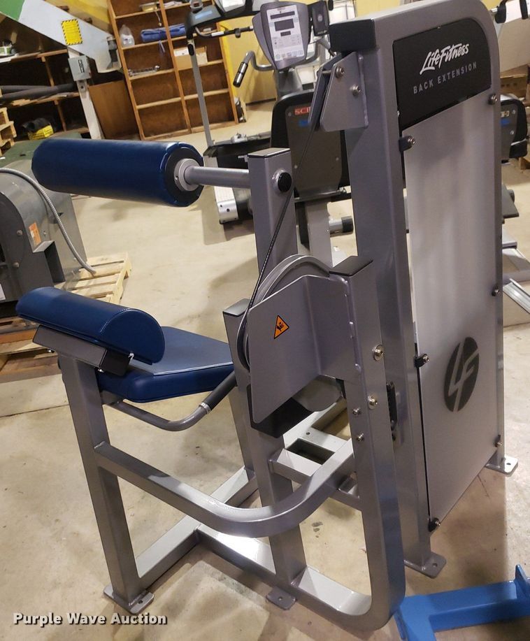 image for item IP9291 Life Fitness  back extension machine