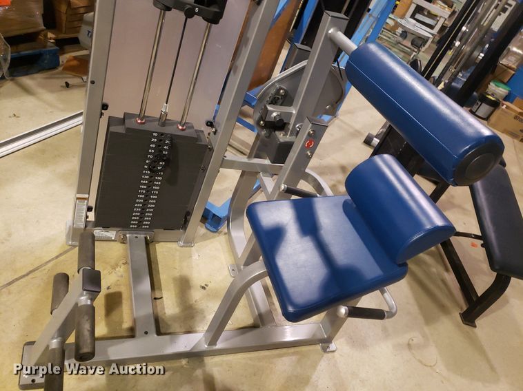 image for item IP9291 Life Fitness  back extension machine