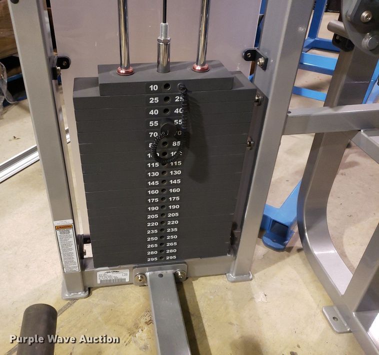 image for item IP9291 Life Fitness  back extension machine