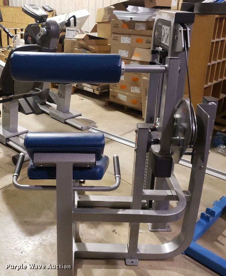 image for item IP9291 Life Fitness  back extension machine