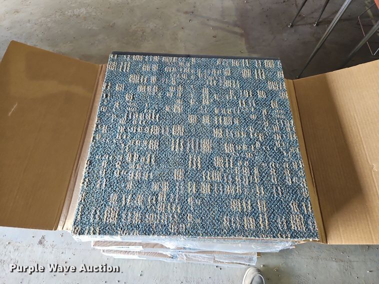 image for item LM9044 (10) boxes of carpet squares