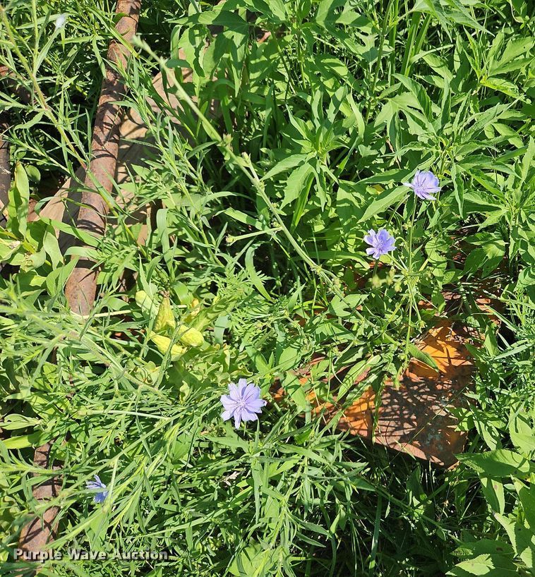 image for item LM9049 Oilfield equipment