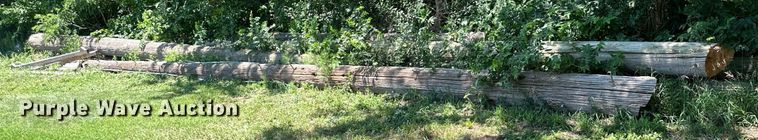 image for item NP9820 Approximately 8 light poles