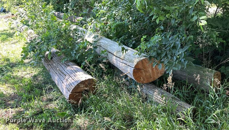 image for item NP9820 Approximately 8 light poles