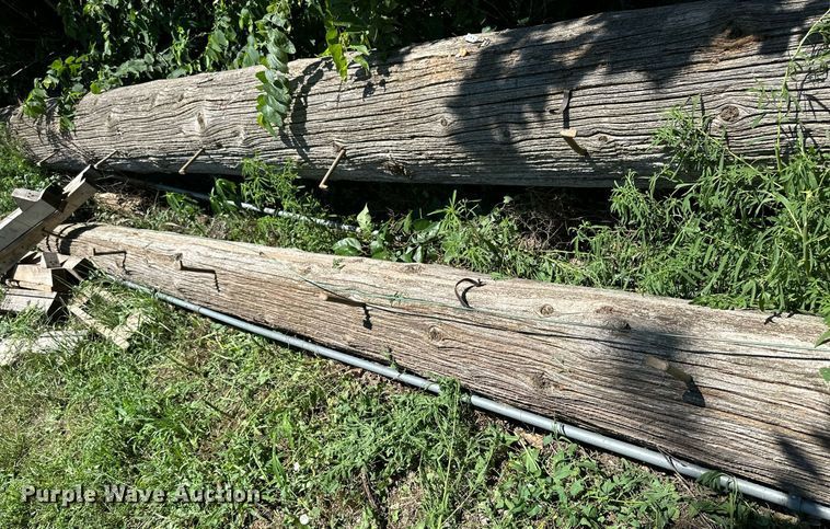 image for item NP9820 Approximately 8 light poles