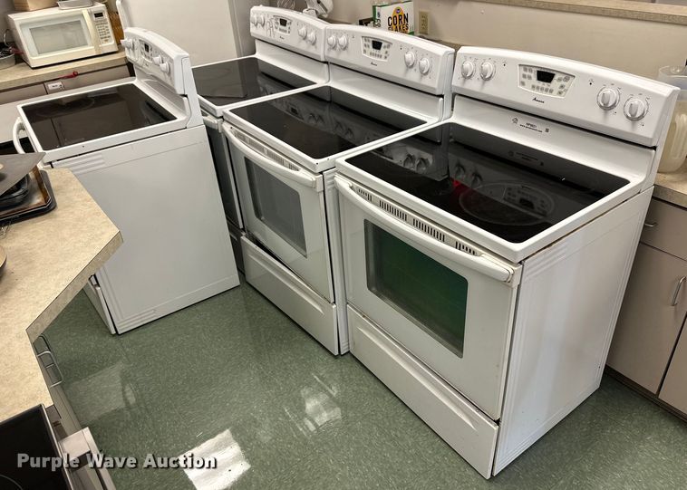 image for item NP9821 (4) Amana ovens