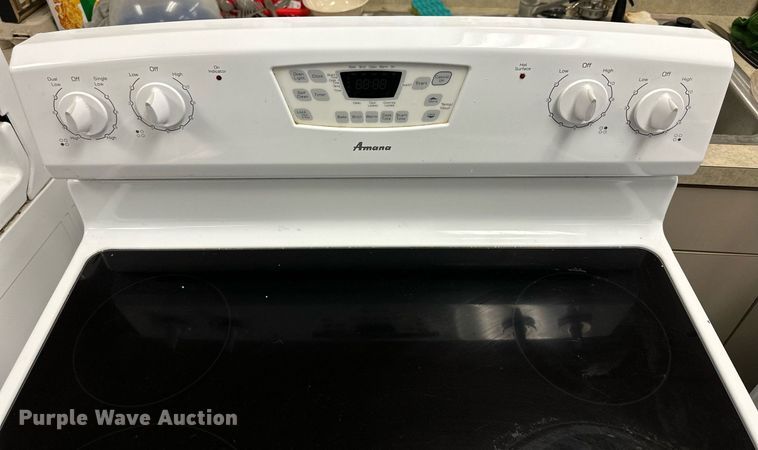 image for item NP9821 (4) Amana ovens