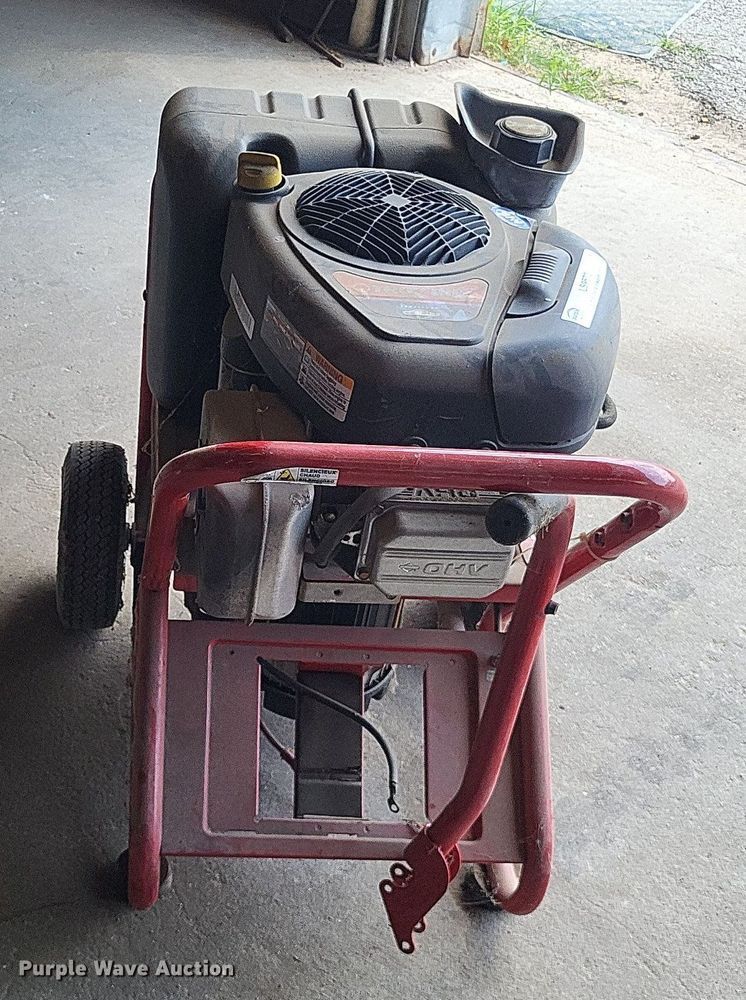 image for item LS9572 Troy-Bilt 01925  generator