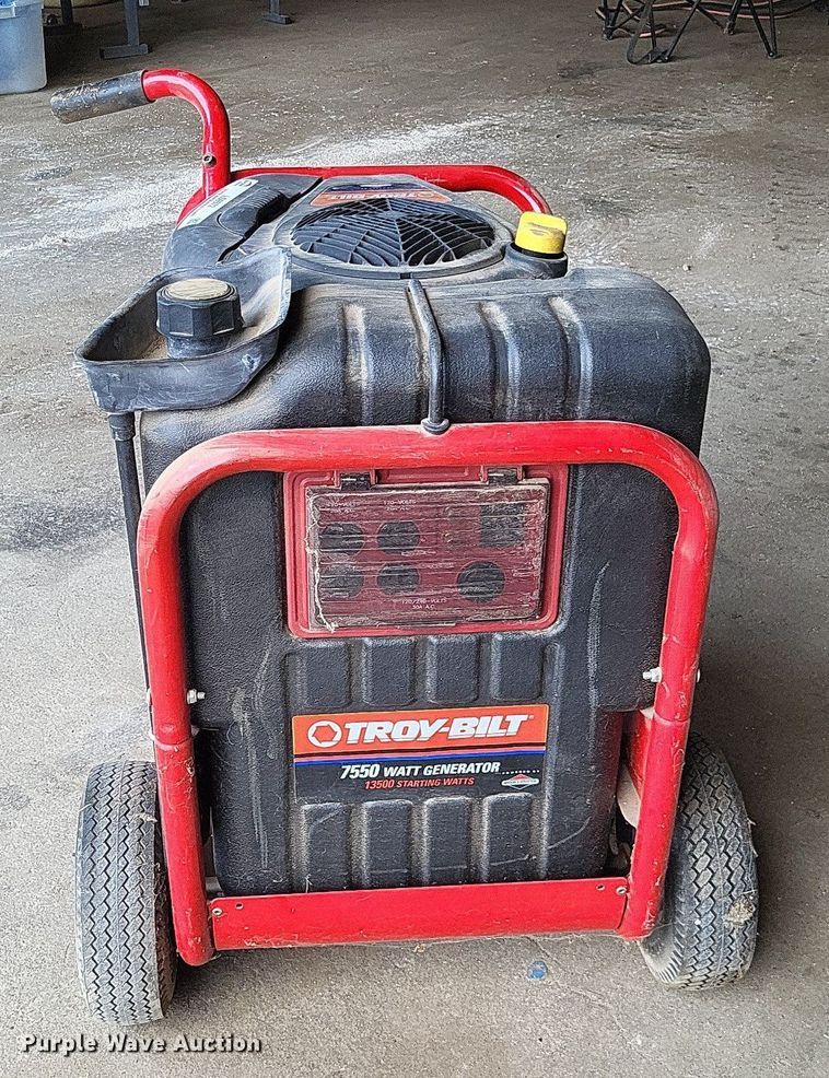 image for item LS9572 Troy-Bilt 01925  generator