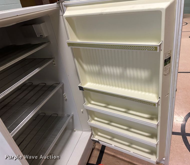 image for item NM9362 (2) freezers