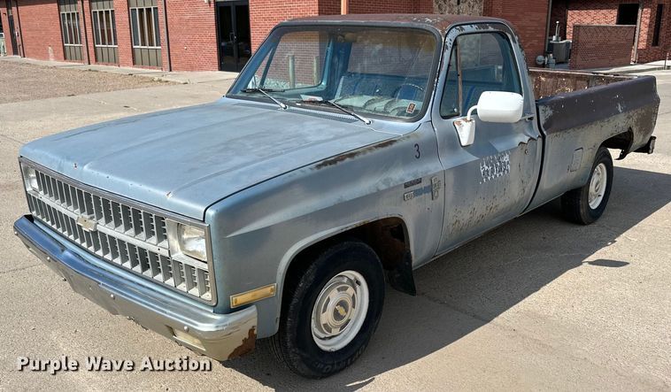 image for item NP9844 1981 Chevrolet C1500  pickup truck
