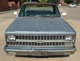 image for item NP9844 1981 Chevrolet C1500  pickup truck