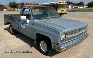 image for item NP9844 1981 Chevrolet C1500  pickup truck