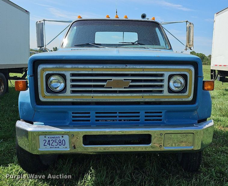 image for item DN8616 1978 Chevrolet Custom Deluxe 65  truck cab and chassis