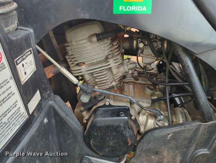 image for item MY9478 2009  Yamaha Big Bear 250  ATV