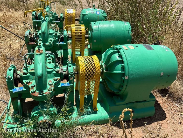 image for item DN4727 (3) Gould transfer station pumps