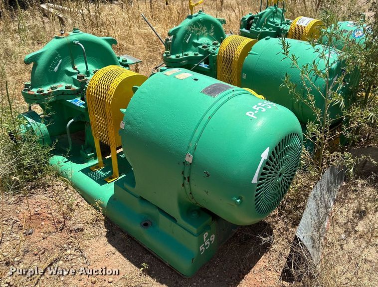 image for item DN4727 (3) Gould transfer station pumps