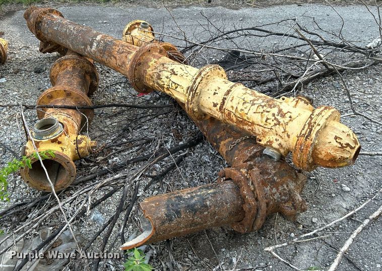 image for item LE9597 Fire hydrants