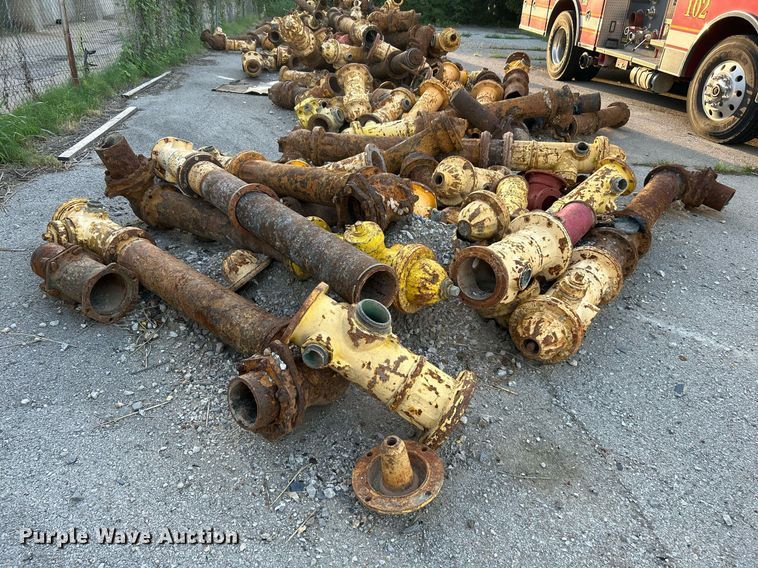 image for item LE9597 Fire hydrants