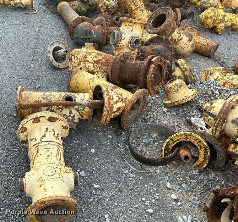 image for item LE9597 Fire hydrants