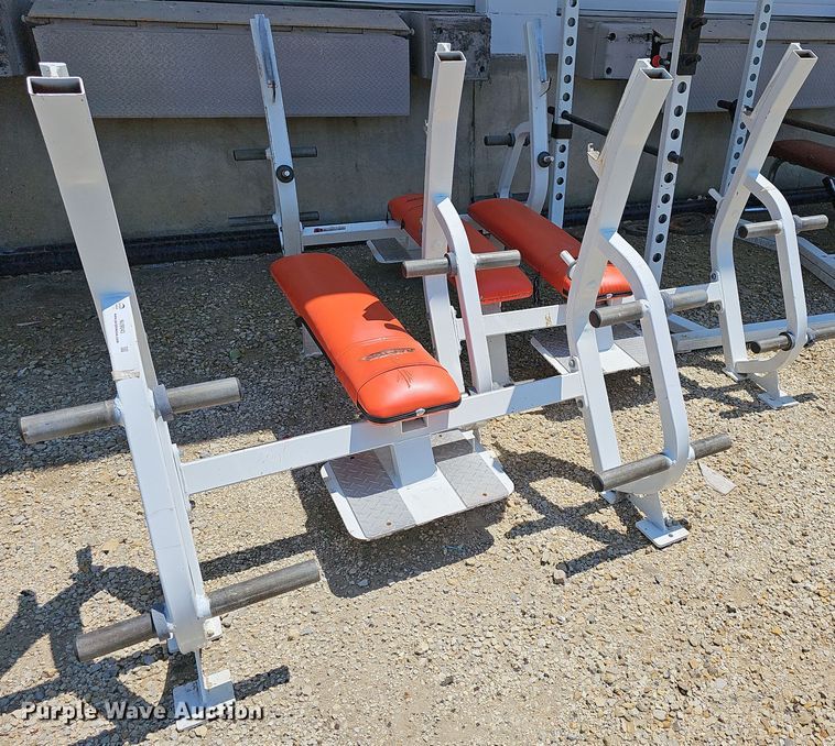 image for item NU9043 (3) Raptor bench presses