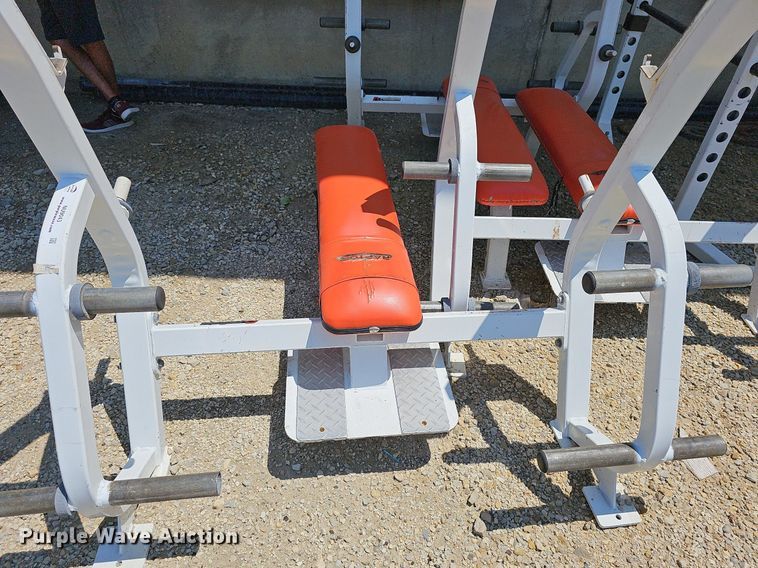 image for item NU9043 (3) Raptor bench presses