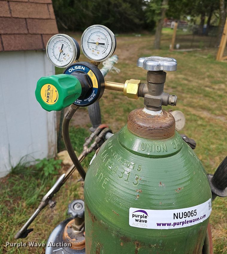 image for item NU9065 Torch