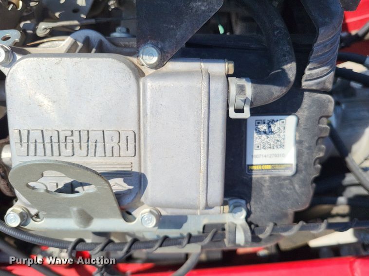 image for item LS9618 2019 Barreto 30-SG  stump grinder