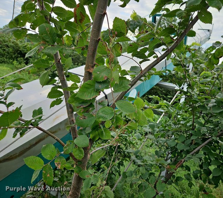 image for item DP2304 Doyle  conveyor